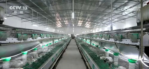 開(kāi)發(fā)衍生農(nóng)產(chǎn)品 發(fā)展創(chuàng)意農(nóng)業(yè) 鄉(xiāng)村振興展現(xiàn) 別樣美